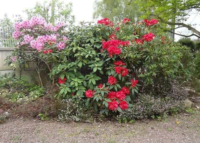 Hébergement de vacances Maison De